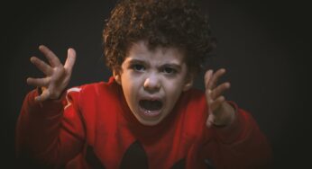 【WordPress】でも”Weglot Translate”がやっぱりすごすぎる件