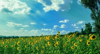 【Shopify】Shopify Summer 2022 Edition！！！